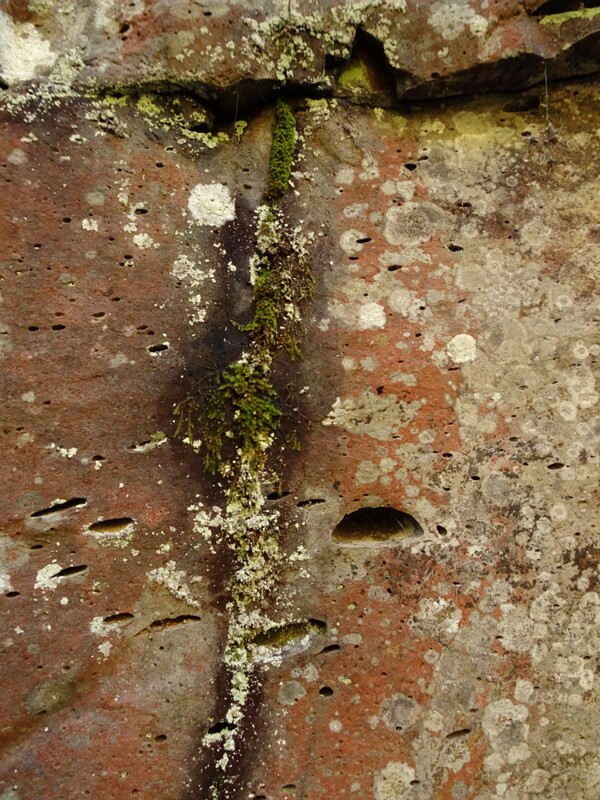 DSC05929