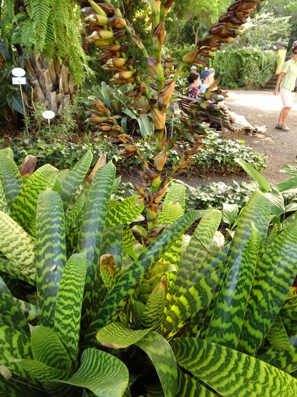 DSC06087