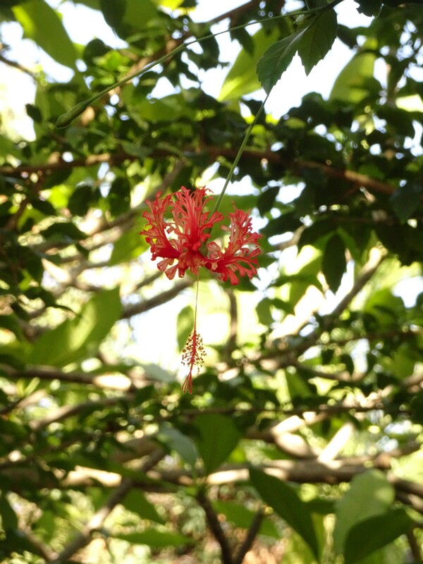 DSC06390