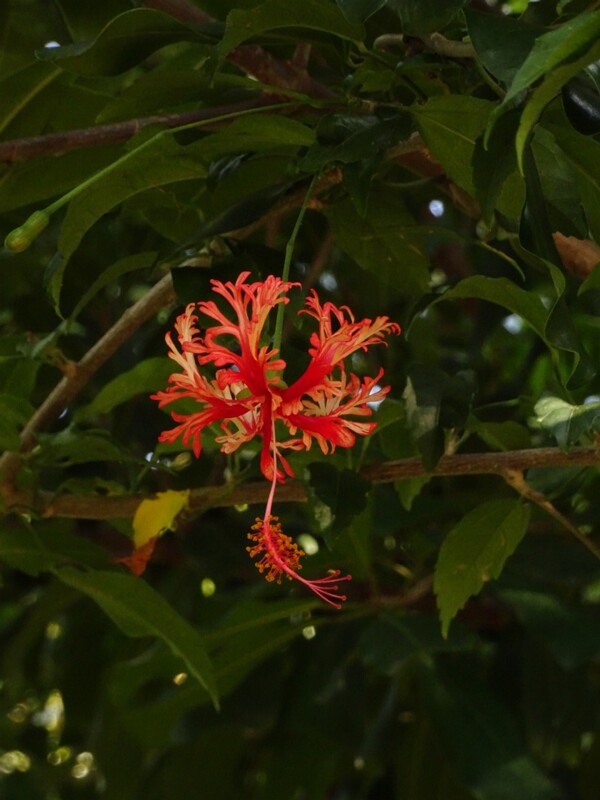 DSC06400