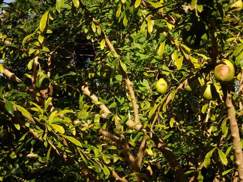 DSC06406
