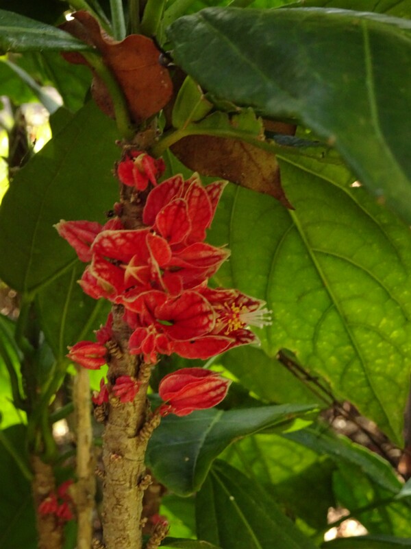 DSC06258