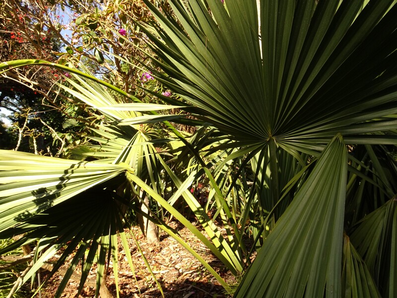 DSC06330
