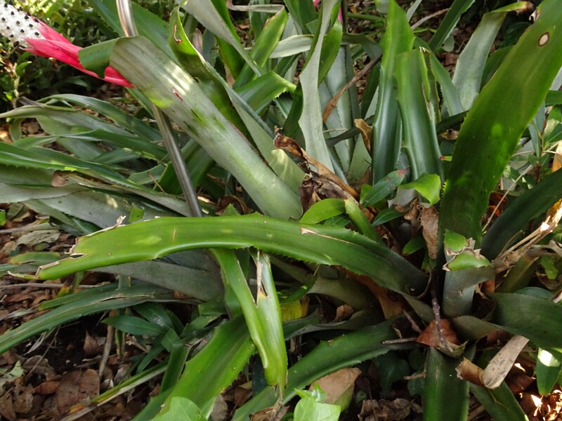 DSC06366