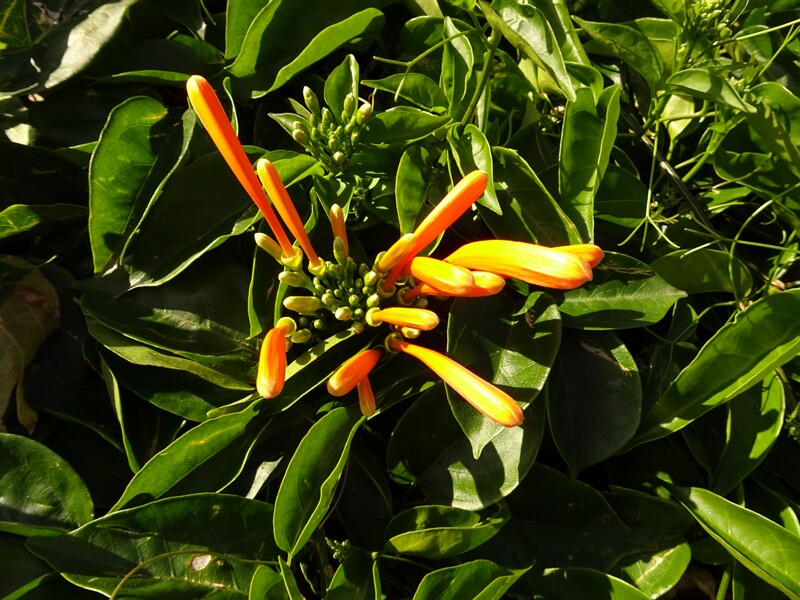 DSC05725