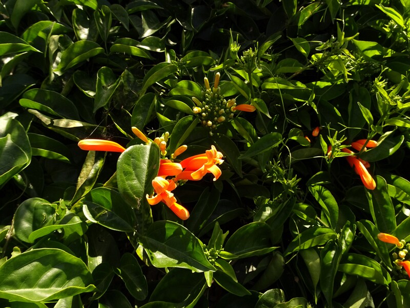 DSC05731