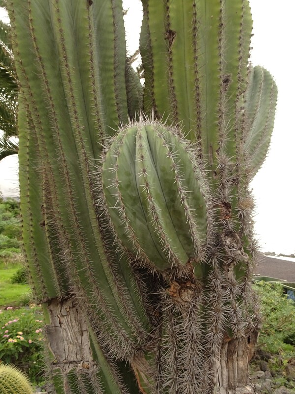 DSC05662