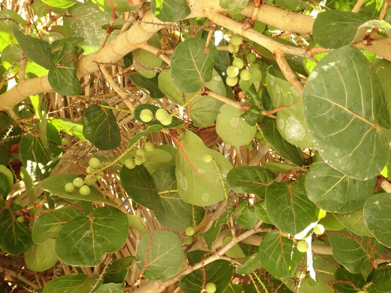DSC05701