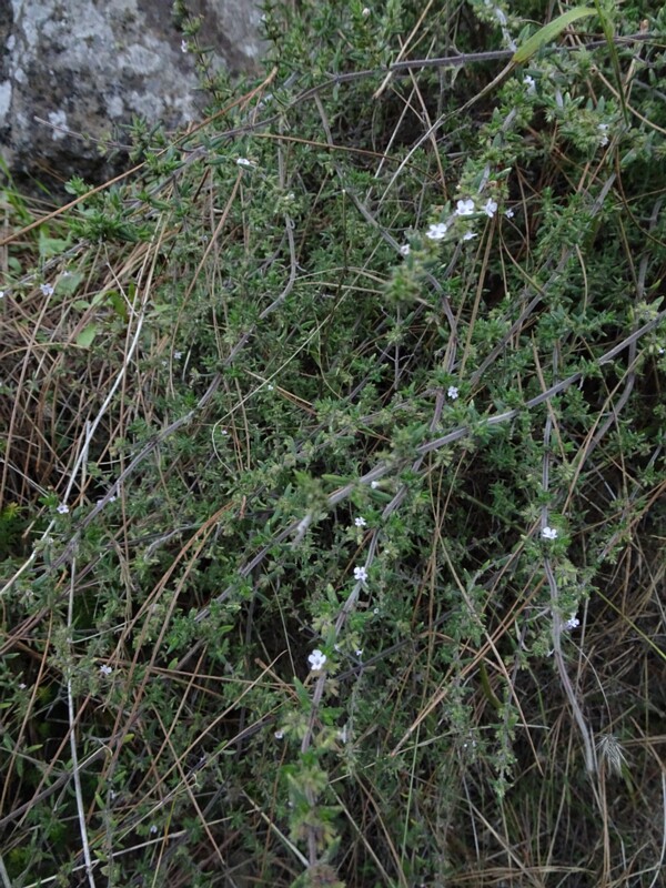 DSC06001