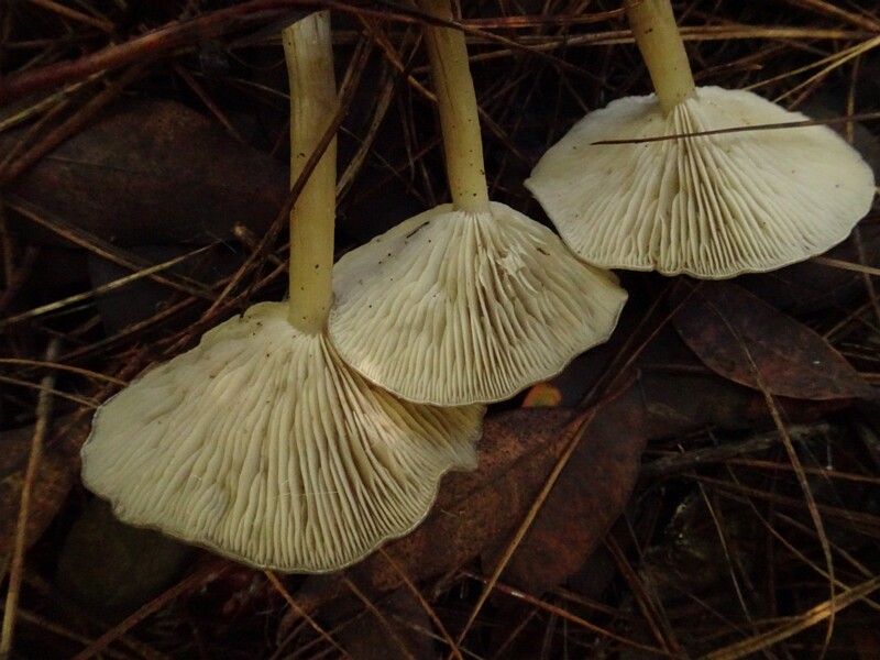 DSC05960