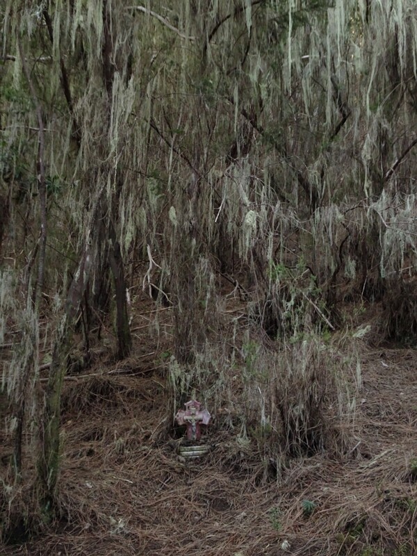Forest Sematary